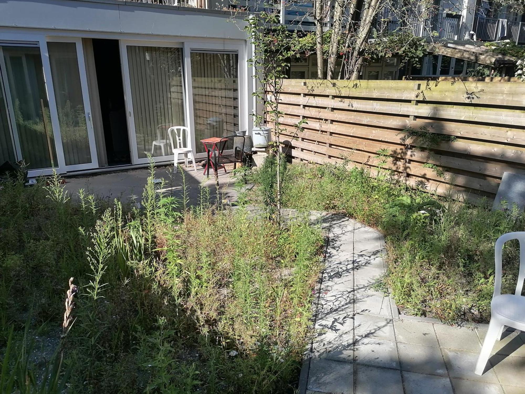 Garden House In Amsterdam Hotel Eksteriør billede